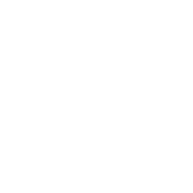 TintXperts